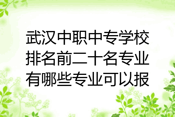 武汉中职中专学校排名前二十名专业有哪些专业可以报