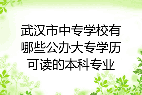 武汉市中专学校有哪些公办大专学历可读的本科专业