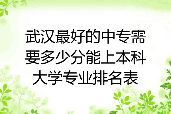 武汉最好的中专需要多少分能上本科大学专业排名表