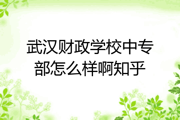 武汉财政学校中专部怎么样啊知乎