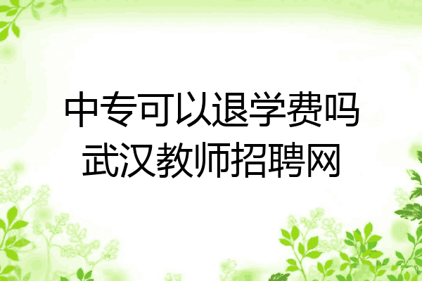 中专可以退学费吗武汉教师招聘网