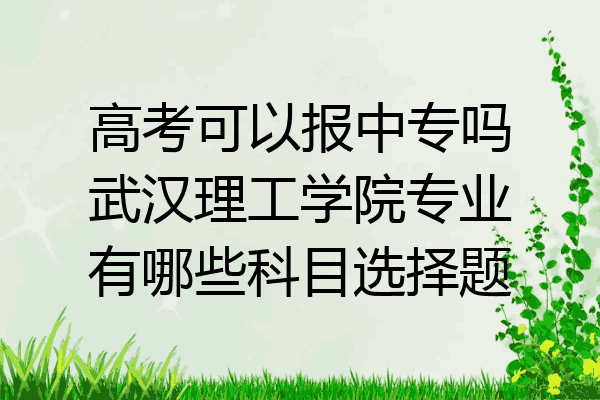 高考可以报中专吗武汉理工学院专业有哪些科目选择题
