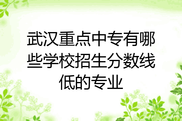 武汉重点中专有哪些学校招生分数线低的专业
