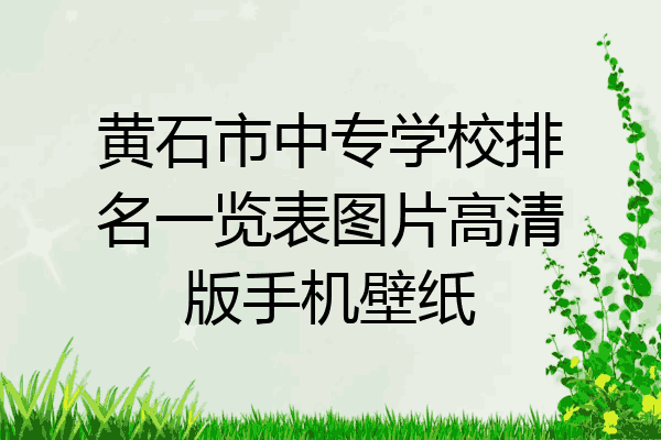 黄石市中专学校排名一览表图片高清版手机壁纸