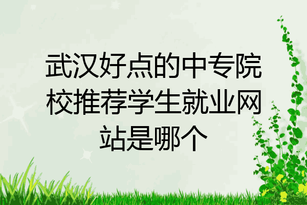 武汉好点的中专院校推荐学生就业网站是哪个