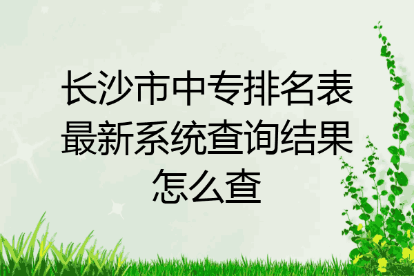 长沙市中专排名表最新系统查询结果怎么查