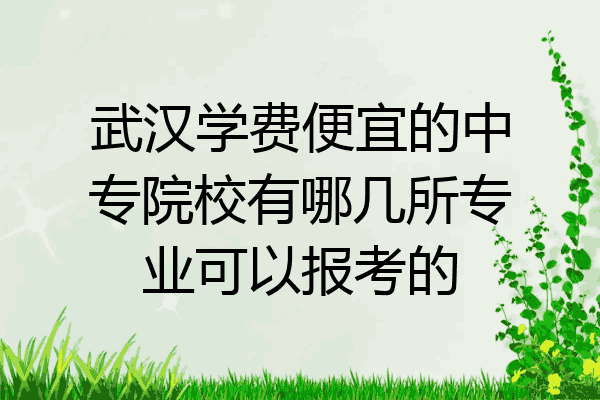 武汉学费便宜的中专院校有哪几所专业可以报考的