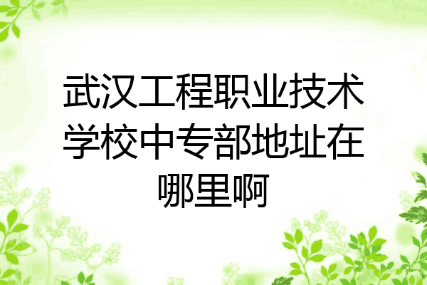 武汉工程职业技术学校中专部地址在哪里啊