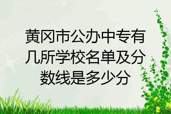 黄冈市公办中专有几所学校名单及分数线是多少分