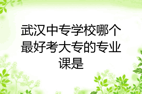 武汉中专学校哪个最好考大专的专业课是