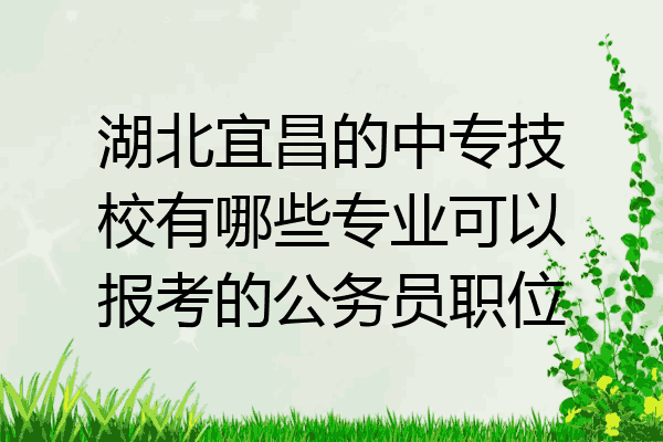 湖北宜昌的中专技校有哪些专业可以报考的公务员职位