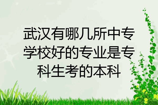 武汉有哪几所中专学校好的专业是专科生考的本科