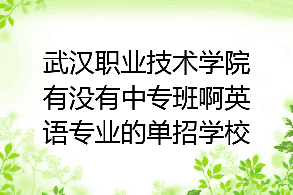 武汉职业技术学院有没有中专班啊英语专业的单招学校