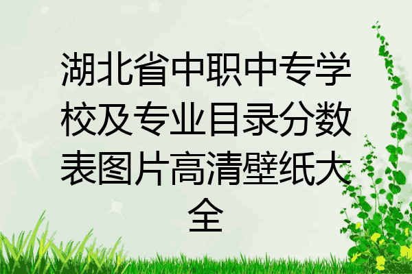 湖北省中职中专学校及专业目录分数表图片高清壁纸大全