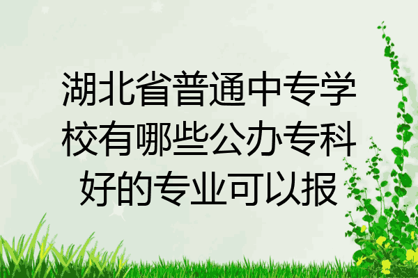 湖北省普通中专学校有哪些公办专科好的专业可以报