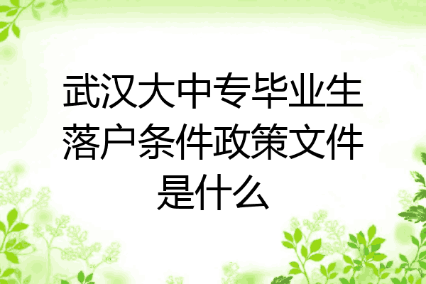 武汉大中专毕业生落户条件政策文件是什么