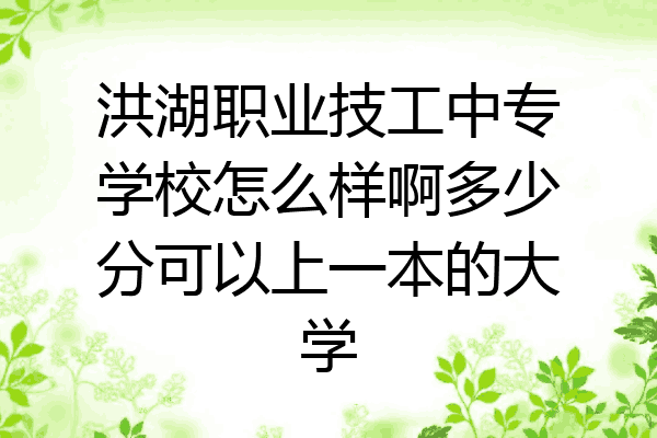 洪湖职业技工中专学校怎么样啊多少分可以上一本的大学