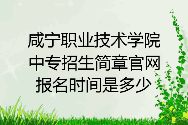 咸宁职业技术学院中专招生简章官网报名时间是多少