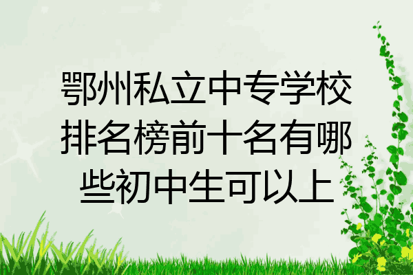 鄂州私立中专学校排名榜前十名有哪些初中生可以上