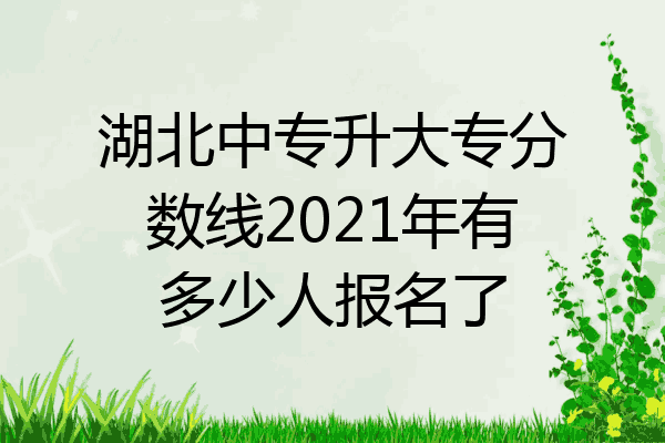 湖北中专升大专分数线2021年有多少人报名了