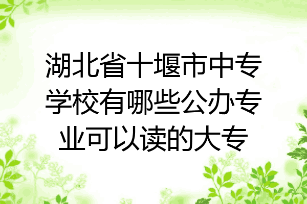 湖北省十堰市中专学校有哪些公办专业可以读的大专
