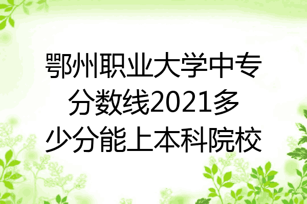 鄂州职业大学中专分数线2021多少分能上本科院校