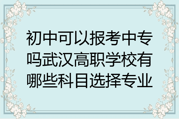 初中可以报考中专吗武汉高职学校有哪些科目选择专业