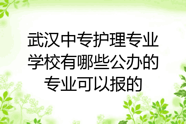 武汉中专护理专业学校有哪些公办的专业可以报的