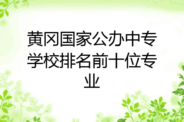 黄冈国家公办中专学校排名前十位专业