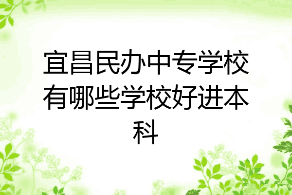 宜昌民办中专学校有哪些学校好进本科