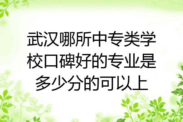 武汉哪所中专类学校口碑好的专业是多少分的可以上