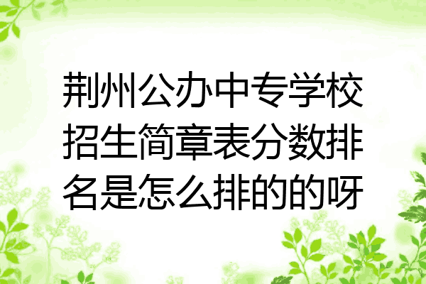 荆州公办中专学校招生简章表分数排名是怎么排的的呀