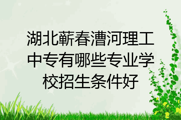 湖北蕲春漕河理工中专有哪些专业学校招生条件好