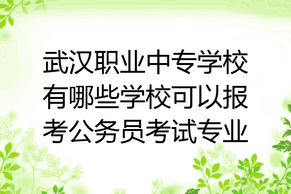 武汉职业中专学校有哪些学校可以报考公务员考试专业