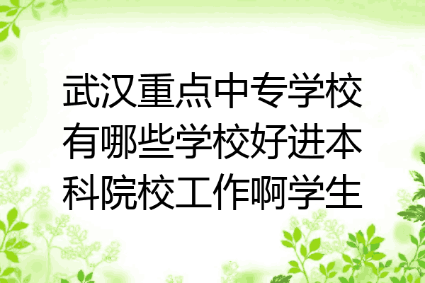武汉重点中专学校有哪些学校好进本科院校工作啊学生