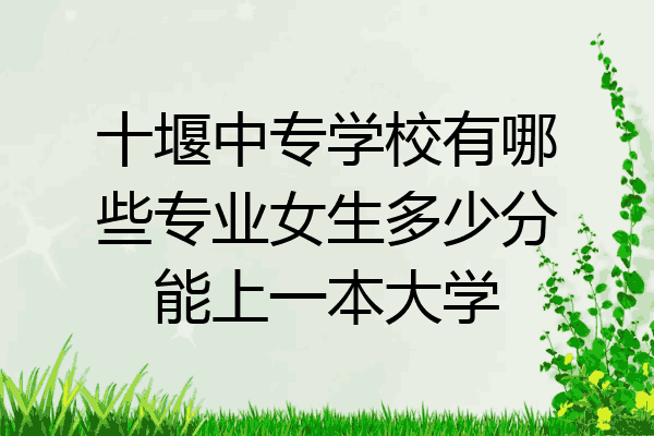 十堰中专学校有哪些专业女生多少分能上一本大学