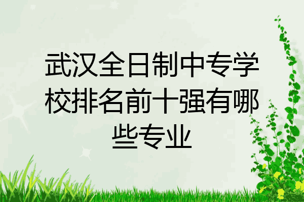 武汉全日制中专学校排名前十强有哪些专业