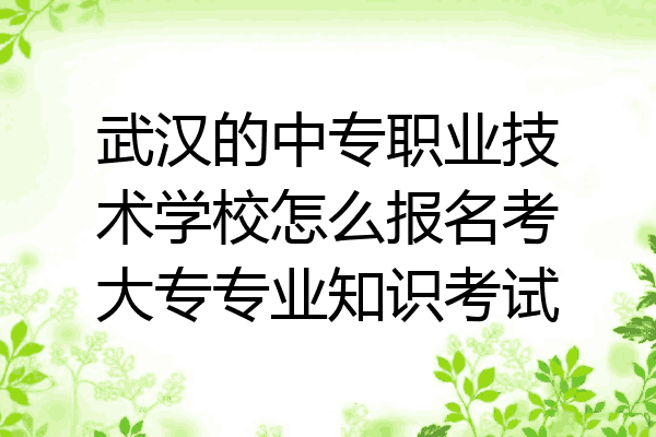 武汉的中专职业技术学校怎么报名考大专专业知识考试