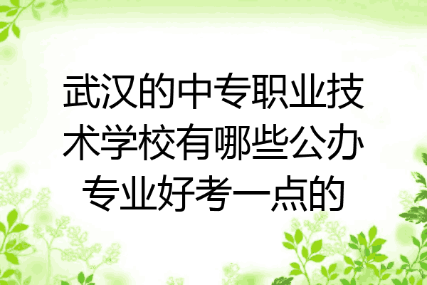 武汉的中专职业技术学校有哪些公办专业好考一点的