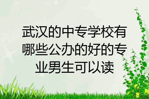 武汉的中专学校有哪些公办的好的专业男生可以读