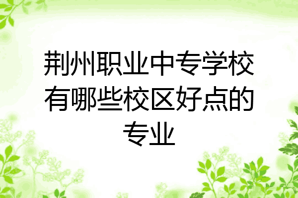 荆州职业中专学校有哪些校区好点的专业
