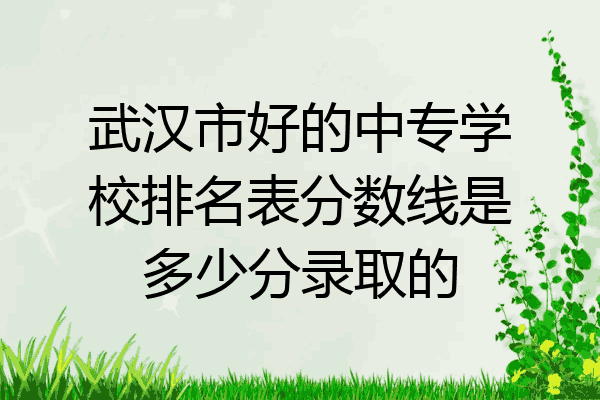 武汉市好的中专学校排名表分数线是多少分录取的