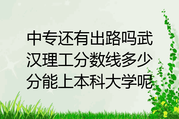 中专还有出路吗武汉理工分数线多少分能上本科大学呢