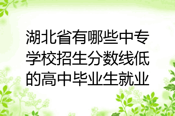 湖北省有哪些中专学校招生分数线低的高中毕业生就业