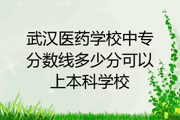 武汉医药学校中专分数线多少分可以上本科学校