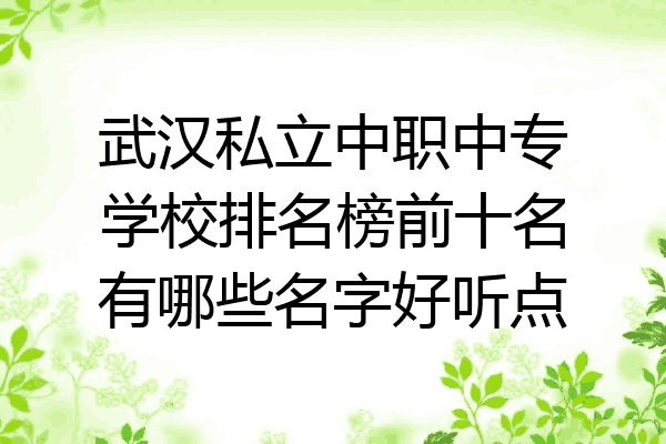 武汉私立中职中专学校排名榜前十名有哪些名字好听点