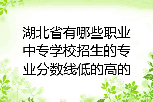湖北省有哪些职业中专学校招生的专业分数线低的高的