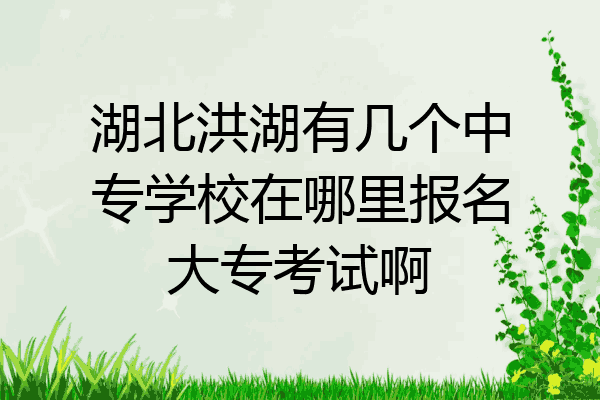 湖北洪湖有几个中专学校在哪里报名大专考试啊