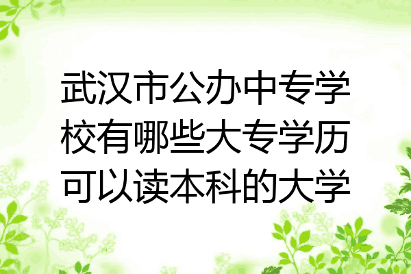 武汉市公办中专学校有哪些大专学历可以读本科的大学