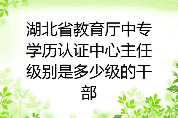 湖北省教育厅中专学历认证中心主任级别是多少级的干部